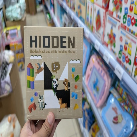 Hidden Black and White Building Blocks – Zabawa z ukrytą tajemnicą! ??✨