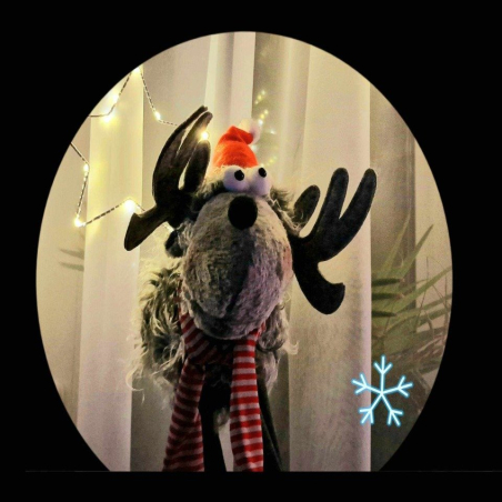 Renifer Świąteczny